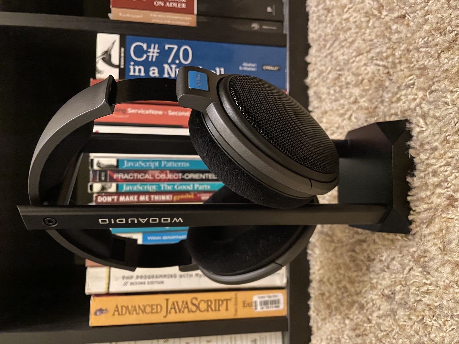 Sennheiser HD 600 Review's image